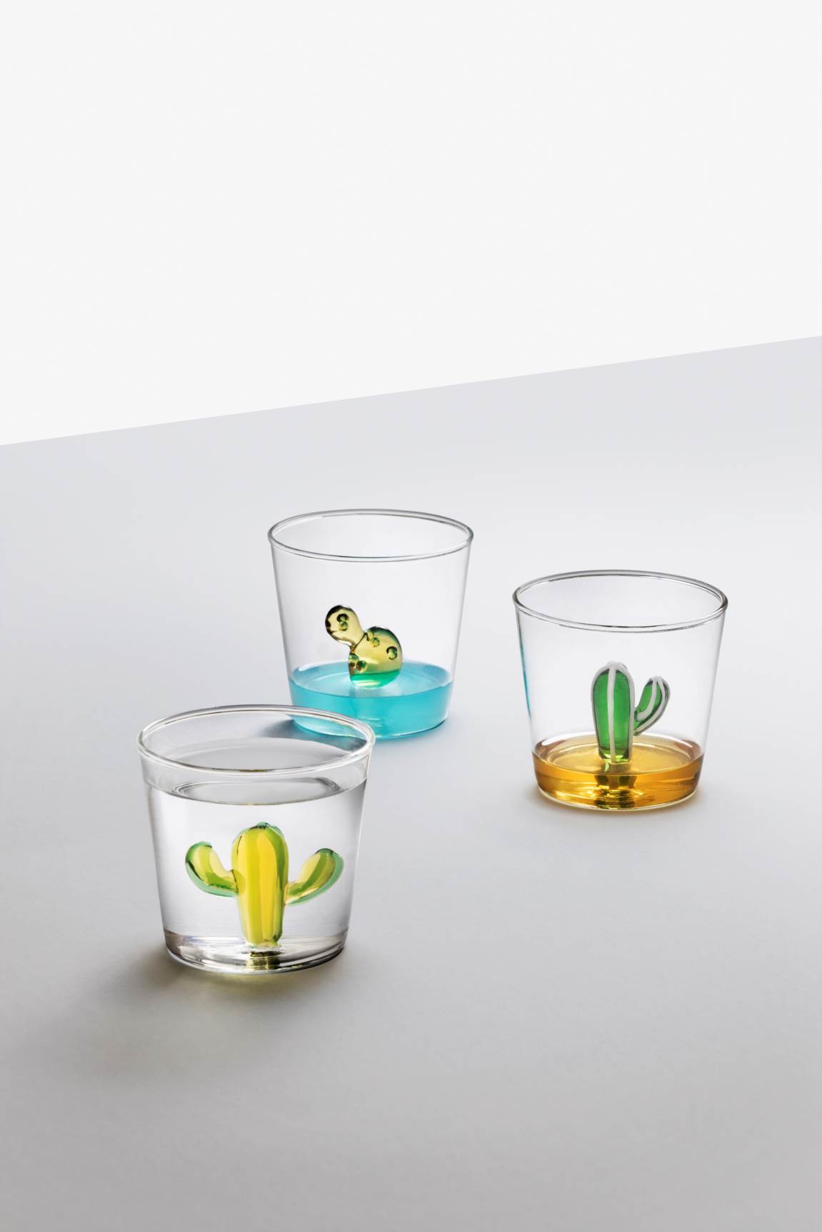 Ichendorf Coppa champagne in vetro con cactus collezione Desert Plant  colore verde